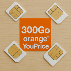 Forfait Sans Engagrment 300Go YouPrice par Orange