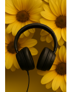 Casques Bluetooth