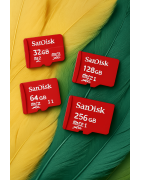SanDisk